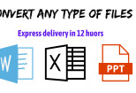 I will convert all types of files 7 - kwork.com