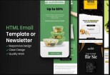 I will design a professional HTML email template or newsletter 11 - kwork.com