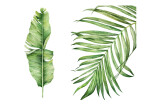 Watercolor botanical illustration 13 - kwork.com