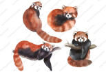 Cute watercolor animals 8 - kwork.com